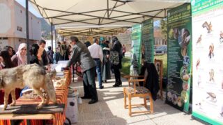 Semaine de environnement universite Bejaia croissant rouge Algerien comite communal de Bejaia 10 14 mars 2017 062