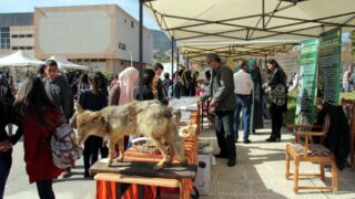 Semaine de environnement universite Bejaia croissant rouge Algerien comite communal de Bejaia 10 14 mars 2017 063