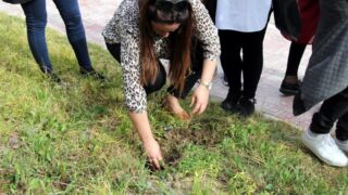 Semaine de environnement universite Bejaia croissant rouge Algerien comite communal de Bejaia 10 14 mars 2017 111