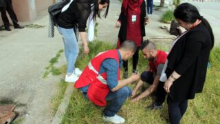 Semaine de environnement universite Bejaia croissant rouge Algerien comite communal de Bejaia 10 14 mars 2017 119