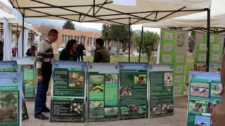 Semaine de environnement universite Bejaia croissant rouge Algerien comite communal de Bejaia 10 14 mars 2017 204
