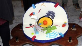 Portes ouvertes sur l universite au profit des futurs bacheliers Universite Bejaia 04 Fev 2017 018