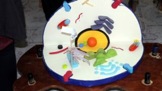 Portes ouvertes sur l universite au profit des futurs bacheliers Universite Bejaia 04 Fev 2017 019