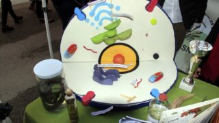 Portes ouvertes sur la faculte des sciences de la nature et de la vie 04 Avril 2017 006