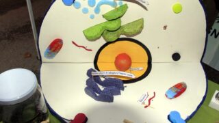 Portes ouvertes sur la faculte des sciences de la nature et de la vie 04 Avril 2017 008