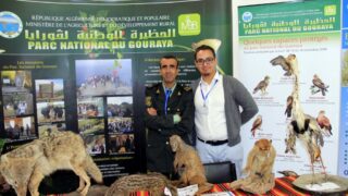 Premier Congres Nord Africain d Ornithologie Universite Bejaia 24 25 26 Oct 2017 003