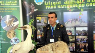 Premier Congres Nord Africain d Ornithologie Universite Bejaia 24 25 26 Oct 2017 005