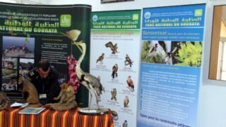 Premier Congres Nord Africain d Ornithologie Universite Bejaia 24 25 26 Oct 2017 024