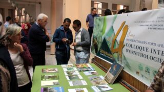 Premier Congres Nord Africain d Ornithologie Universite Bejaia 24 25 26 Oct 2017 028