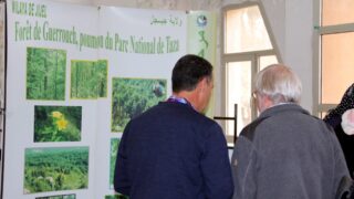 Premier Congres Nord Africain d Ornithologie Universite Bejaia 24 25 26 Oct 2017 032