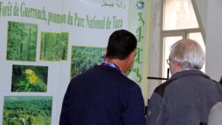 Premier Congres Nord Africain d Ornithologie Universite Bejaia 24 25 26 Oct 2017 033