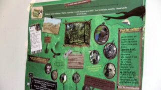 Premier Congres Nord Africain d Ornithologie Universite Bejaia 24 25 26 Oct 2017 035