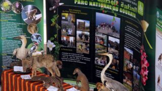 Premier Congres Nord Africain d Ornithologie Universite Bejaia 24 25 26 Oct 2017 047
