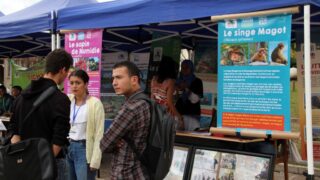 Premier Congres Nord Africain d Ornithologie Universite Bejaia 24 25 26 Oct 2017 060