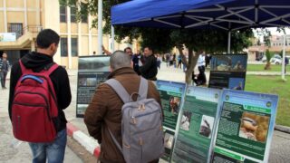 Premier Congres Nord Africain d Ornithologie Universite Bejaia 24 25 26 Oct 2017 069