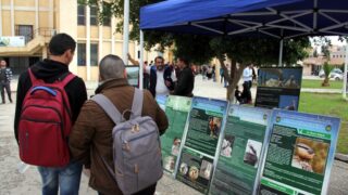 Premier Congres Nord Africain d Ornithologie Universite Bejaia 24 25 26 Oct 2017 070