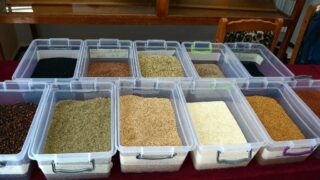 Journee mondiale de l environnement universite bejaia 02 Juin 2019 07