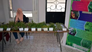 Journee mondiale de l environnement universite bejaia 02 Juin 2019 09