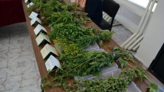 Journee mondiale de l environnement universite bejaia 02 Juin 2019 10