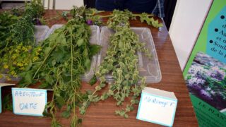 Journee mondiale de l environnement universite bejaia 02 Juin 2019 11