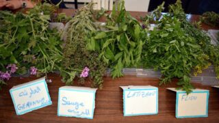 Journee mondiale de l environnement universite bejaia 02 Juin 2019 13