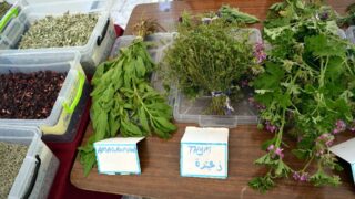 Journee mondiale de l environnement universite bejaia 02 Juin 2019 16