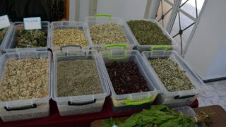 Journee mondiale de l environnement universite bejaia 02 Juin 2019 17