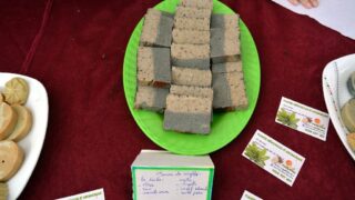 Journee mondiale de l environnement universite bejaia 02 Juin 2019 20