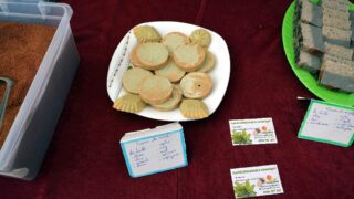 Journee mondiale de l environnement universite bejaia 02 Juin 2019 21