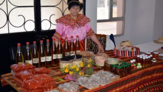 Journee mondiale de l environnement universite bejaia 02 Juin 2019 25