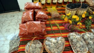 Journee mondiale de l environnement universite bejaia 02 Juin 2019 26