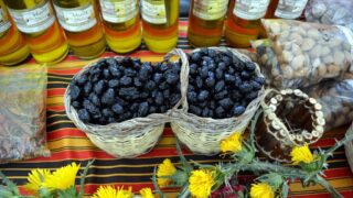 Journee mondiale de l environnement universite bejaia 02 Juin 2019 27