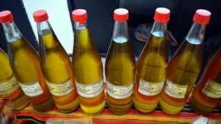 Journee mondiale de l environnement universite bejaia 02 Juin 2019 28