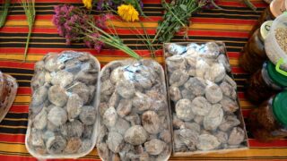 Journee mondiale de l environnement universite bejaia 02 Juin 2019 29