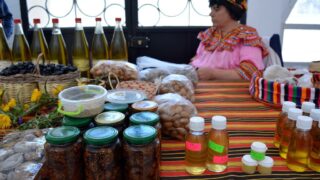 Journee mondiale de l environnement universite bejaia 02 Juin 2019 30