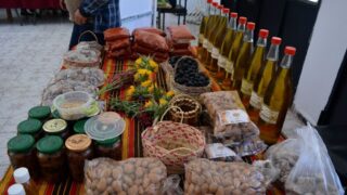 Journee mondiale de l environnement universite bejaia 02 Juin 2019 31