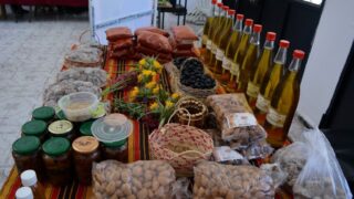 Journee mondiale de l environnement universite bejaia 02 Juin 2019 32