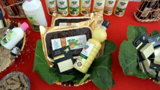 Journee mondiale de l environnement universite bejaia 02 Juin 2019 35