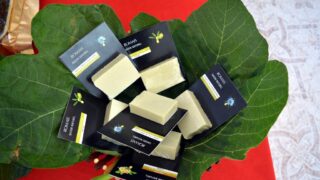 Journee mondiale de l environnement universite bejaia 02 Juin 2019 36