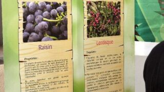 Journee mondiale de l environnement universite bejaia 02 Juin 2019 42