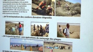 Journee mondiale de l environnement universite bejaia 02 Juin 2019 44