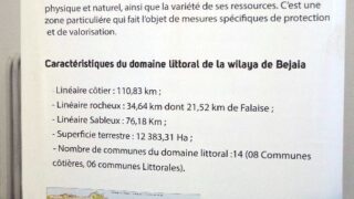 Journee mondiale de l environnement universite bejaia 02 Juin 2019 45