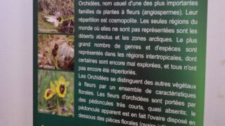 Journee mondiale de l environnement universite bejaia 02 Juin 2019 46