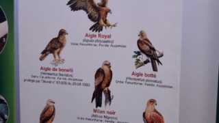 Journee mondiale de l environnement universite bejaia 02 Juin 2019 47