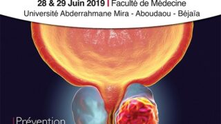 Les 3 emes Journees Formation continue concerologie 28 29 juin 2019 SAFCC 106