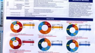 Maghrebin Congress of clinical anatomy University Bejaia 16 17 Juin 2019 129