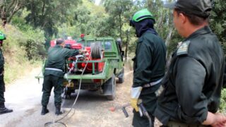 Campagne sensibilisation contre les incendies et conservation forets et environnement 30 juin et 01 juillet 2019 181