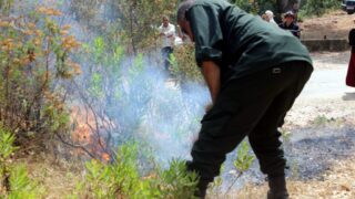 Campagne sensibilisation contre les incendies et conservation forets et environnement 30 juin et 01 juillet 2019 188