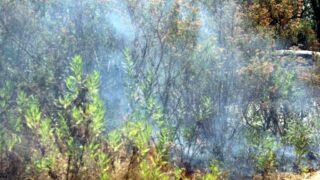 Campagne sensibilisation contre les incendies et conservation forets et environnement 30 juin et 01 juillet 2019 192