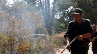 Campagne sensibilisation contre les incendies et conservation forets et environnement 30 juin et 01 juillet 2019 194